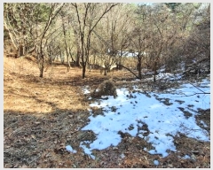  2024Ÿ��33366 ���� ��â�� ���θ� ��������� 20      ����(��1)���