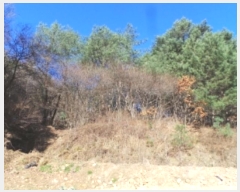  2024Ÿ��33366 ���� ��â�� ���θ� ��������� 20      ����(��1)���