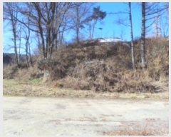  2024Ÿ33441  â ɸ ׸ 119-8      (1)