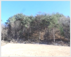  2024Ÿ33441  â ɸ ׸ 119-8      (1)