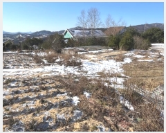  2024Ÿ33441  â ɸ ׸ 119-1      (1)