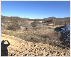  2024Ÿ��33472 ���� ��â�� ����ɸ� Ⱦ�踮 ��106-37      ����(�Ӿ�)���