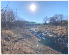  2024Ÿ��33472 ���� ��â�� ����ɸ� Ⱦ�踮 ��106-37      ����(�Ӿ�)���