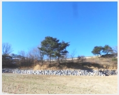  2024Ÿ��33472 ���� ��â�� ����ɸ� Ⱦ�踮 ��106-37      ����(�Ӿ�)���