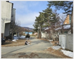  2024Ÿ33571  â  ﵿ1 47, 1105ȣ     ܵ(ȣ)