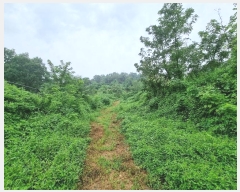  2024Ÿ��3414 ��� û�ֽ� ��籸 ���ϵ� 7-1      ����(��1)���