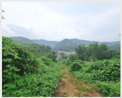  2024Ÿ��3414 ��� û�ֽ� ��籸 ���ϵ� 7-1      ����(��1)���