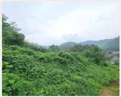  2024Ÿ��3414 ��� û�ֽ� ��籸 ���ϵ� 7-1      ����(��1)���