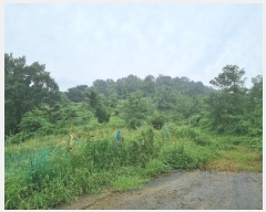  2024Ÿ��3414 ��� û�ֽ� ��籸 ���ϵ� 7-1      ����(��1)���