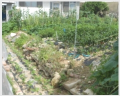  2024Ÿ��3704 ��� û�ֽ� û���� ������ 412-75      ����(����)���