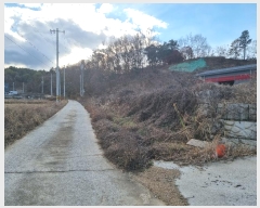  2024Ÿ��5762  �Ӿ߰��