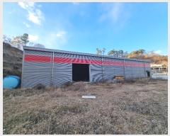  2024Ÿ��5762  �Ӿ߰��