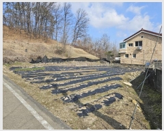  2024Ÿ51536   ȸ ȭ 217      ()