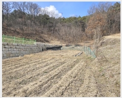  2024Ÿ51536   ȸ ȭ 217      ()