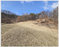  2024Ÿ51536   ȸ ȭ 217      ()