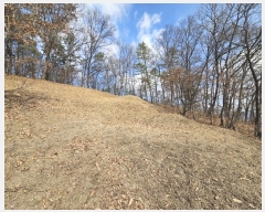  2024Ÿ51536   ȸ ȭ 217      ()