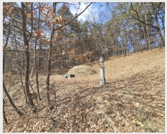  2024Ÿ51536   ȸ ȭ 217      ()