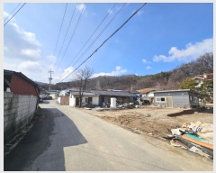  2024Ÿ51536   ȸ ȭ 217      ()