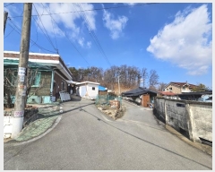  2024Ÿ51536   ȸ ȭ 217      ()