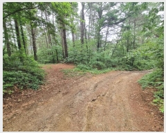  2024Ÿ57107   ȸ Ż긮 22-3      (Ӿ)