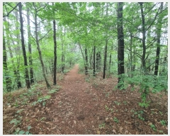  2024Ÿ57107   ȸ Ż긮 22-3      (Ӿ)