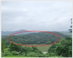  2024Ÿ57107   ȸ Ż긮 22-3      (Ӿ)