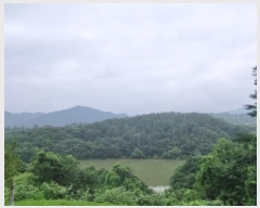  2024Ÿ57107   ȸ Ż긮 22-3      (Ӿ)