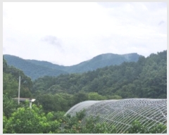  2024Ÿ57107   ȸ Ż긮 22-3      (Ӿ)