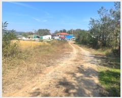  2024Ÿ��62116  ����