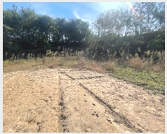  2024Ÿ��62116  ����