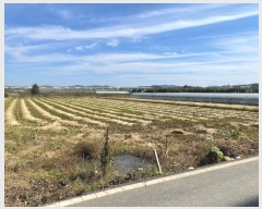  2024Ÿ��62116  ����