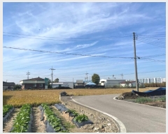  2024Ÿ��62116  ����