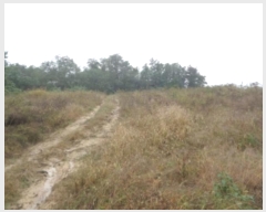  2024Ÿ��62116  ����