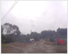  2024Ÿ��62116  ����