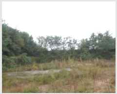  2024Ÿ��62116  ����