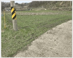  2024Ÿ��64921 ��� ������ ���Ѹ� ���Ÿ� 518      ���(�󰡽ü�)���