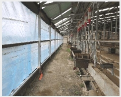  2024Ÿ��64921 ��� ������ ���Ѹ� ���Ÿ� 518      ���(�󰡽ü�)���