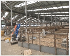  2024Ÿ��64921 ��� ������ ���Ѹ� ���Ÿ� 518      ���(�󰡽ü�)���