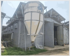  2024Ÿ989  õ   924      (󰡽ü)