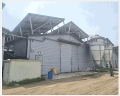  2024Ÿ989  õ   924      (󰡽ü)