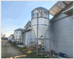  2024Ÿ989  õ   924      (󰡽ü)