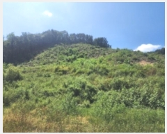  2024Ÿ��4301 ��� ������ ������ ���긮 44-4      ��ʰ��ýü����