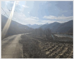  2024Ÿ6116  걺 ǳ ϸ 270      (1)