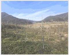  2024Ÿ6116  걺 ǳ ϸ 270      (1)