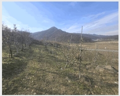  2024Ÿ6116  걺 ǳ ϸ 270      (1)