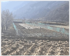  2024Ÿ6116  걺 ǳ ϸ 270      (1)