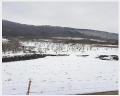  2024Ÿ6116  걺 ǳ ϸ 270      (1)