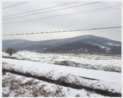  2024Ÿ6116  걺 ǳ ϸ 270      (1)