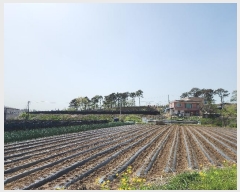  2024Ÿ53532  ûֽ û ̸ 踮 170-4     (Ӿ)