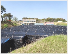  2024Ÿ53532  ûֽ û ̸ 踮 170-4     (Ӿ)